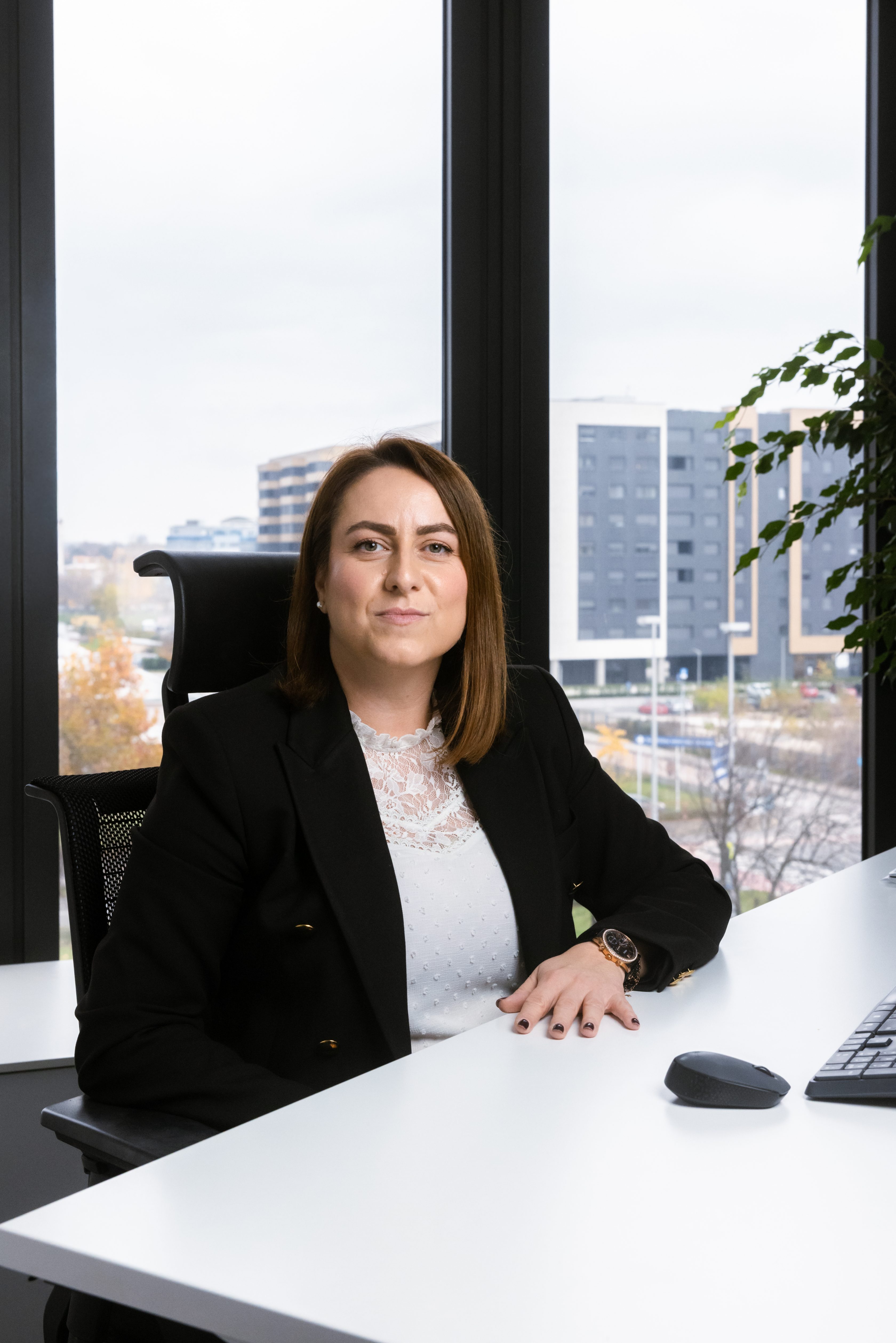 useful description of image if informative and not decoration only.